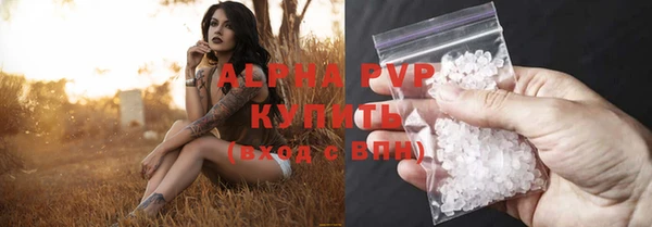 мяу мяу мука Баксан