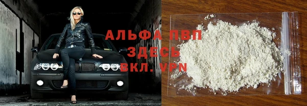 мяу мяу мука Баксан
