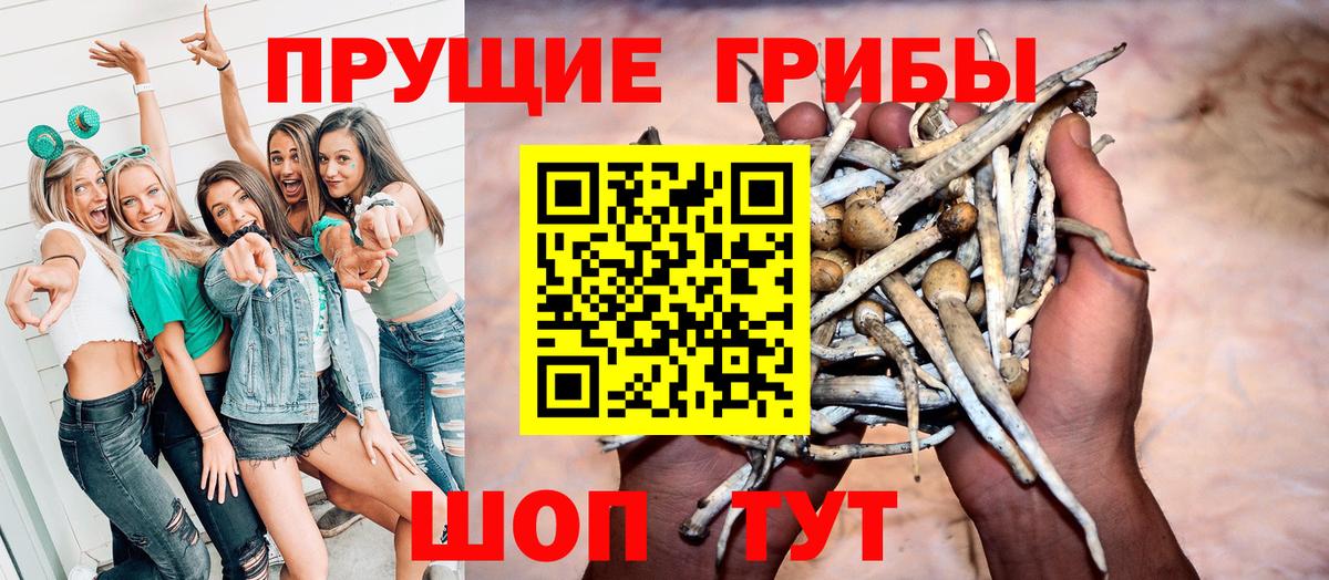 Псилоцибиновые грибы Cubensis  Галлюциногенные грибы мицелий  Нерюнгри  Вход с VPN 